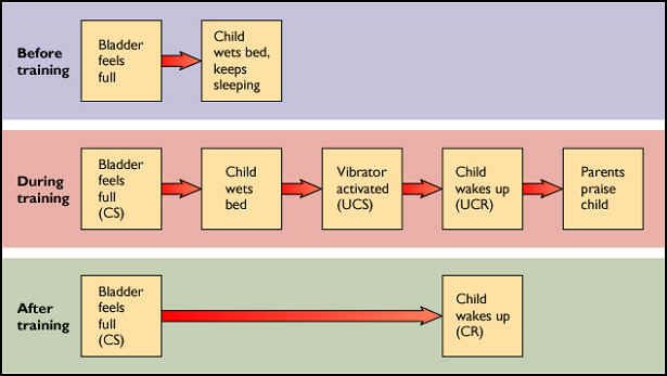 classical conditioning examples