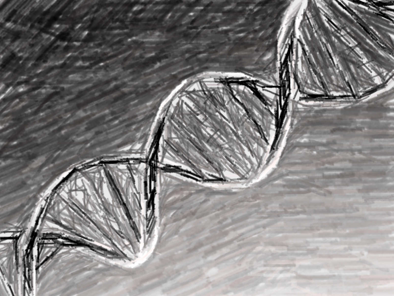 DNA double helix