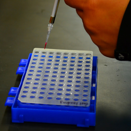 Pipetting samples