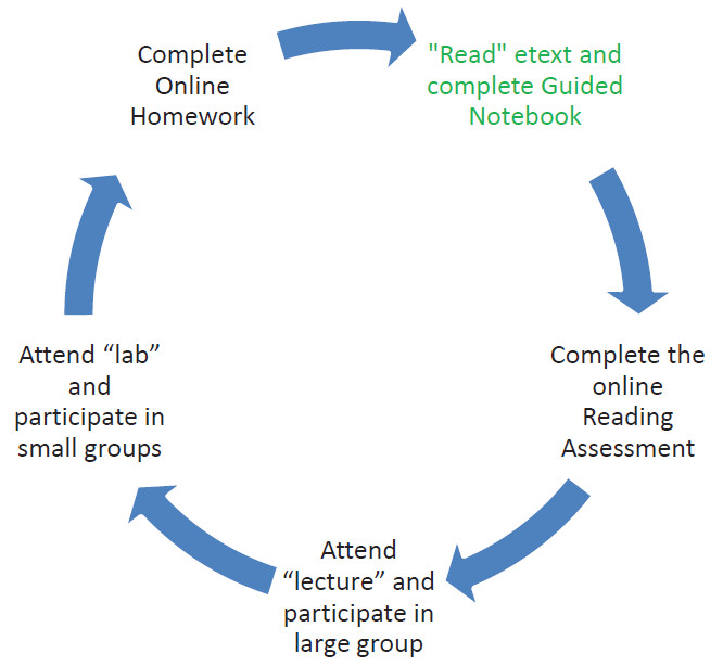 study_cycle