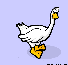 Image of single goose