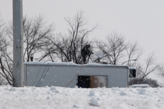 DSC_0023.JPG