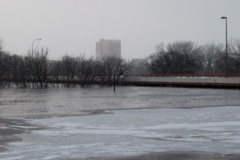 DSC_0102.JPG