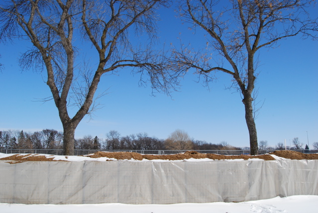 DSC_0193.JPG