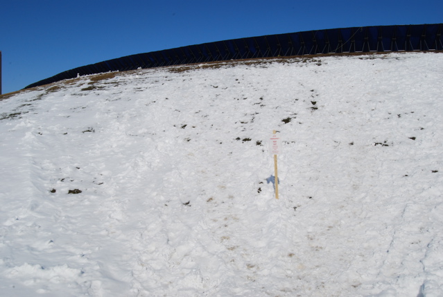 DSC_0212.JPG