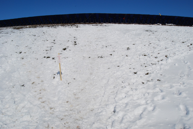 DSC_0213.JPG