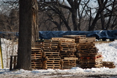 DSC_0046.JPG