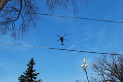 DSC_0049.JPG