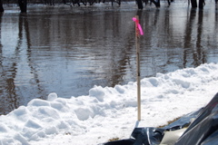 DSC_0057.JPG