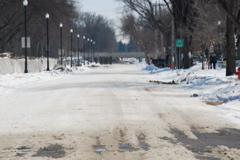 DSC_0177.JPG