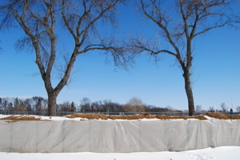 DSC_0193.JPG