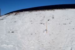DSC_0212.JPG