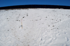 DSC_0213.JPG