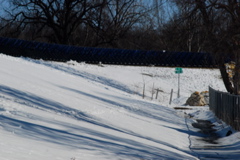 DSC_0215.JPG