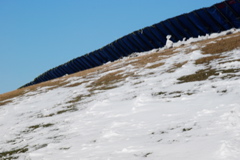 DSC_0217.JPG