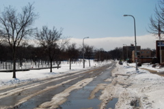 DSC_0006.JPG