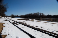 DSC_0166.JPG