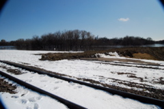 DSC_0176.JPG