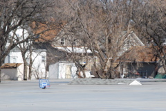 DSC_0187.JPG