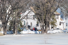 DSC_0190.JPG