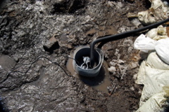 DSC_0227.JPG