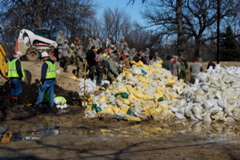 DSC_0246.JPG