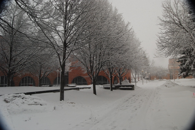 DSC_0051.JPG