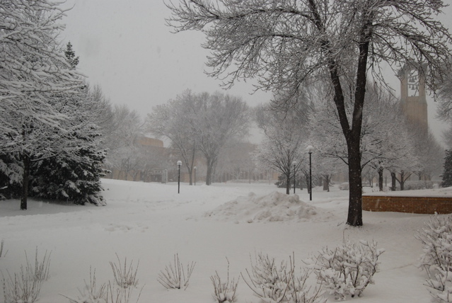 DSC_0075.JPG