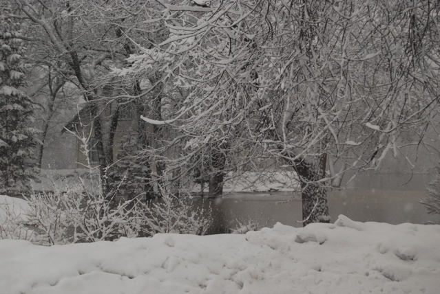DSC_0141.JPG