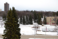 DSC_0003.JPG