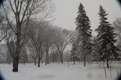 DSC_0041.JPG