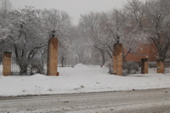 DSC_0059.JPG