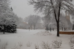 DSC_0075.JPG