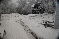 DSC_0123.JPG