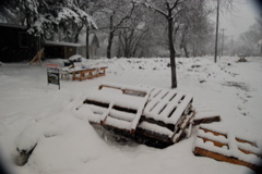 DSC_0132.JPG