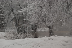 DSC_0141.JPG