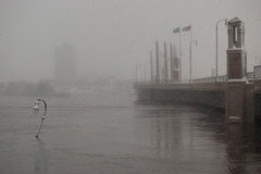 DSC_0171.JPG