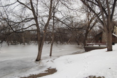 DSC_0015.JPG