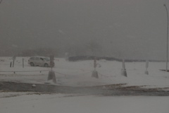 DSC_0206.JPG