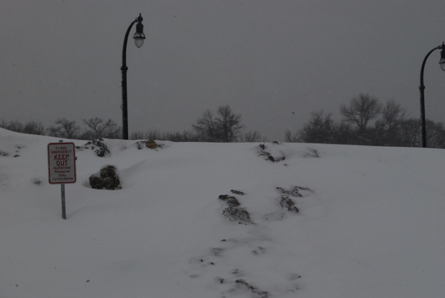 DSC_0227.JPG