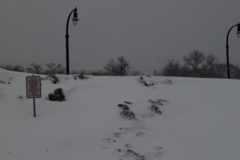 DSC_0227.JPG