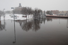DSC_0291.JPG
