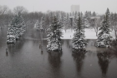 DSC_0310.JPG