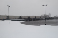 DSC_0315.JPG