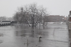 DSC_0328.JPG