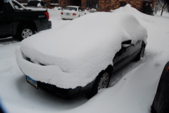 DSC_0346.JPG