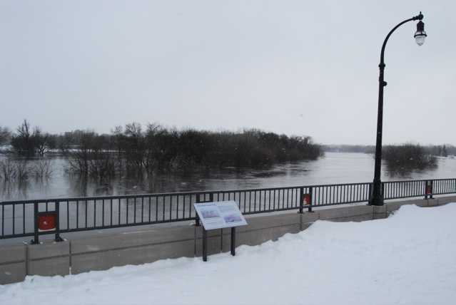 DSC_0083.JPG