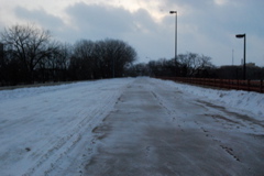 DSC_0130.JPG