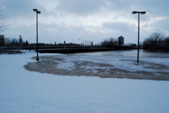 DSC_0133.JPG