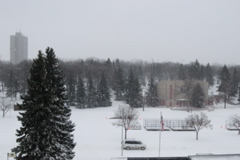 DSC_0003.JPG